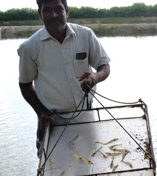 farmer-1